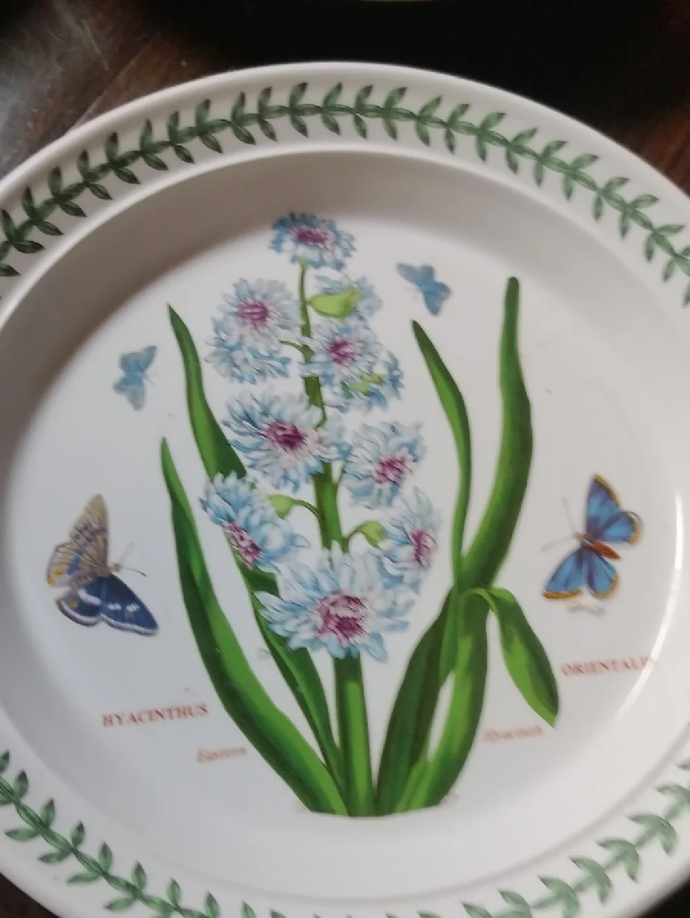 Port Meirion Botanical Floral Dinner Plate in White and Green 8.5 In Plate